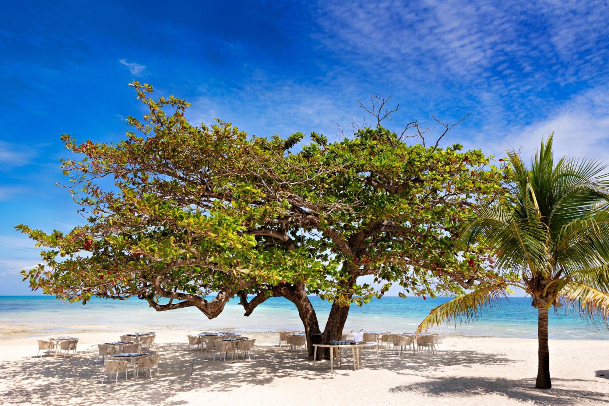 Bawe Island Zanzibar Hotel Bagian luar foto